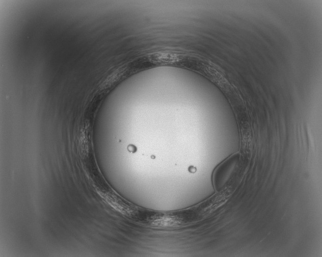 X0000082740460200702161937