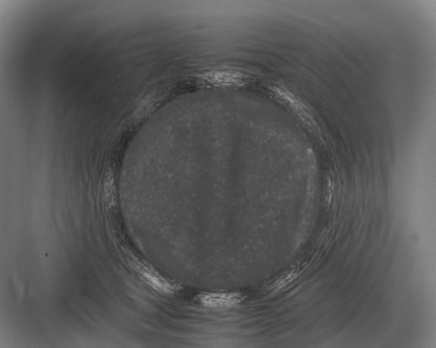 X0000082740465200702161937