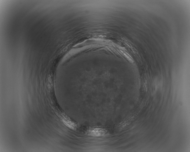 X0000082740467200702161937