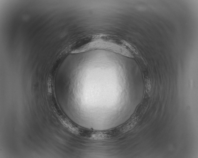 X0000082740470200702161937