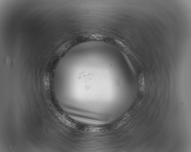 X0000082740472200702161938