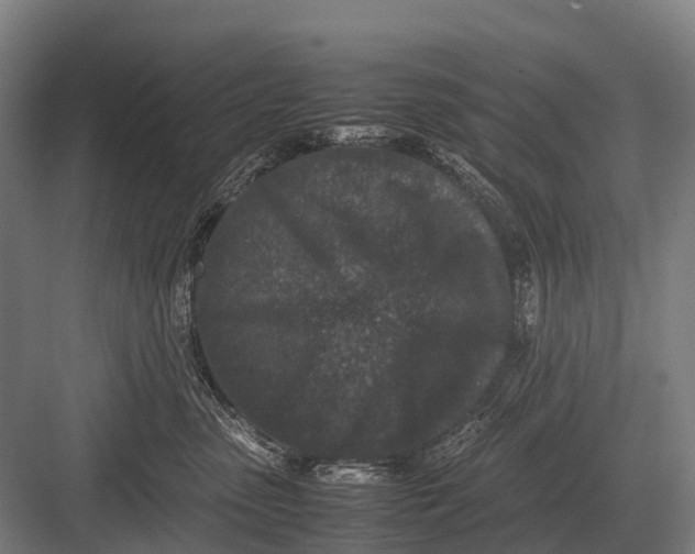 X0000082740475200702161938