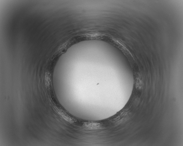 X0000082740476200702161938