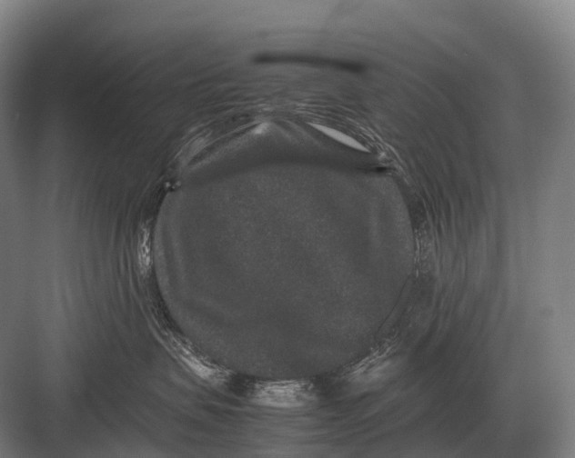 X0000082740479200702161938