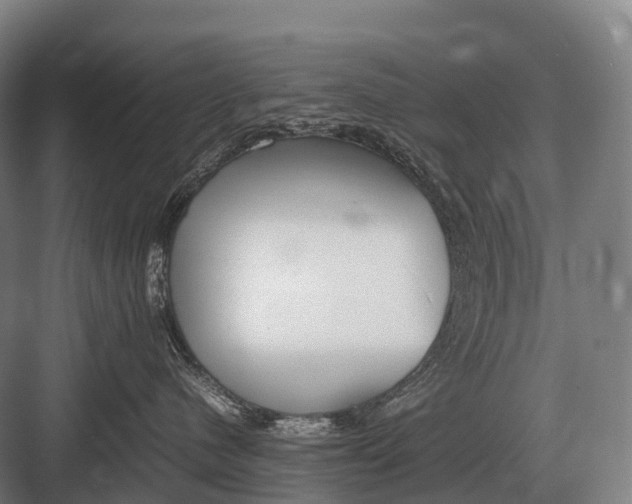 X0000082740480200702161938