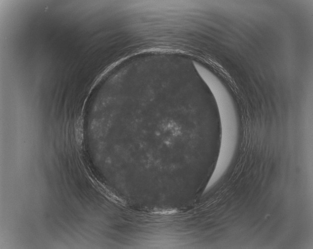 X0000082740484200702161937