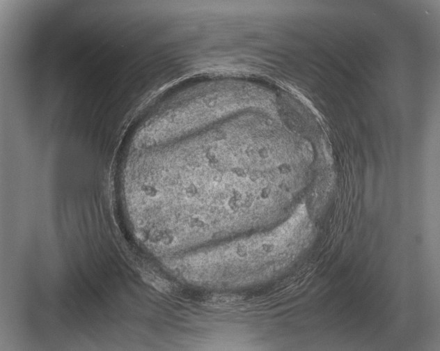 X0000082740487200702161937