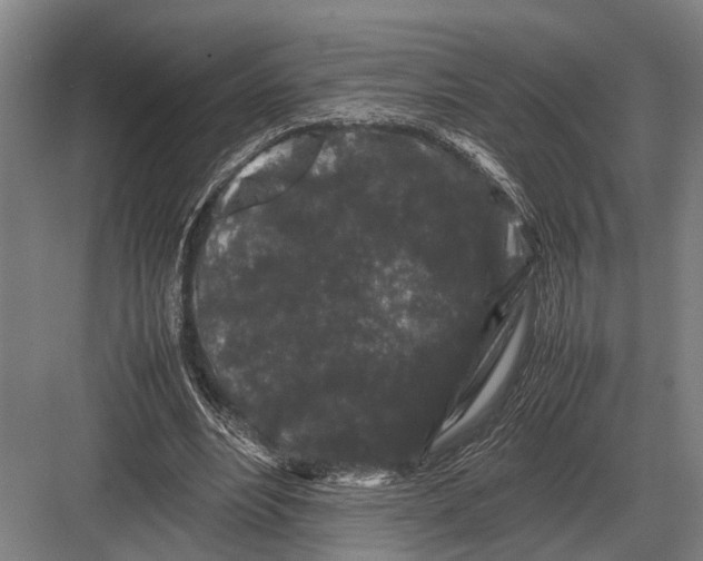 X0000082740488200702161937