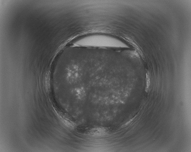 X0000082740492200702161937