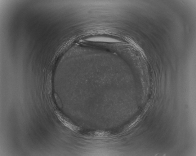 X0000082740493200702161937