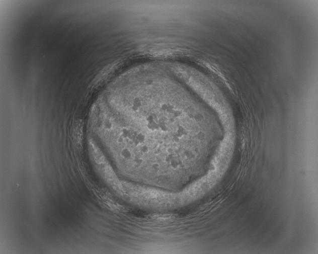 X0000082740495200702161937