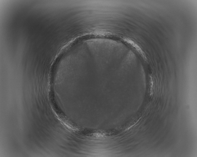 X0000082740496200702161937