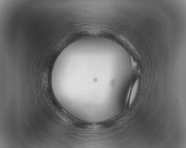 X0000082740497200702161937