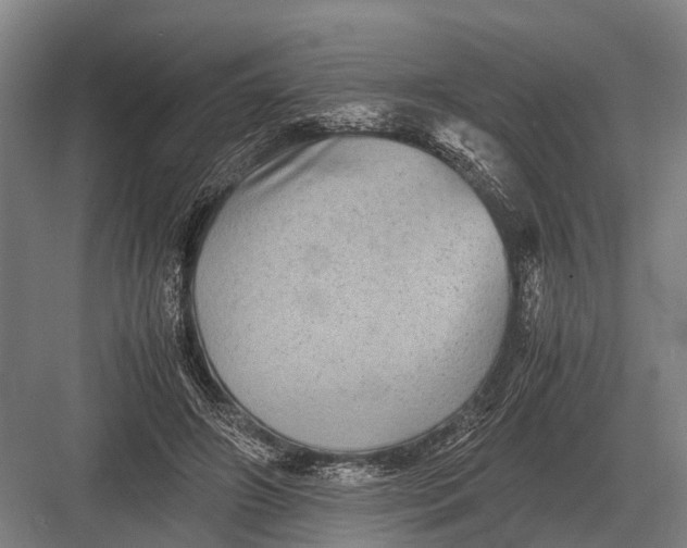 X0000082740498200702161937