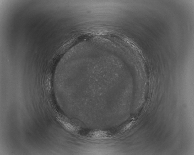 X0000082740501200702161937