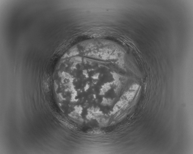 X0000082740503200702161936