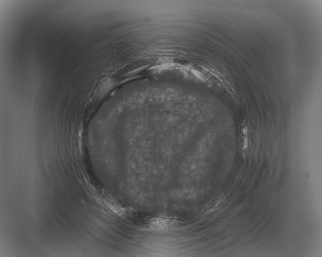 X0000082740504200702161936