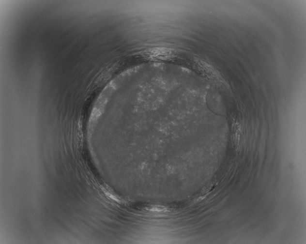 X0000082740506200702161936