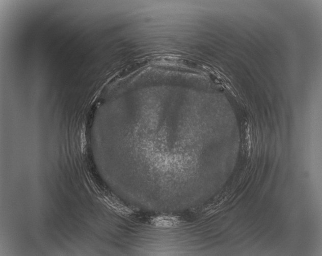 X0000082740508200702161936