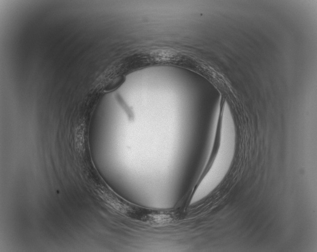 X0000082740509200702161936