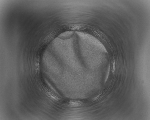 X0000082740510200702161936