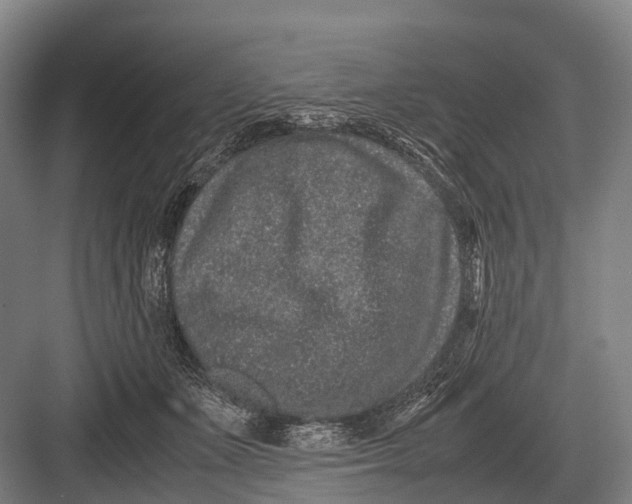 X0000082740511200702161936