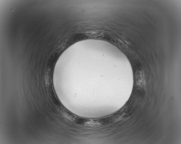 X0000082740515200702161936