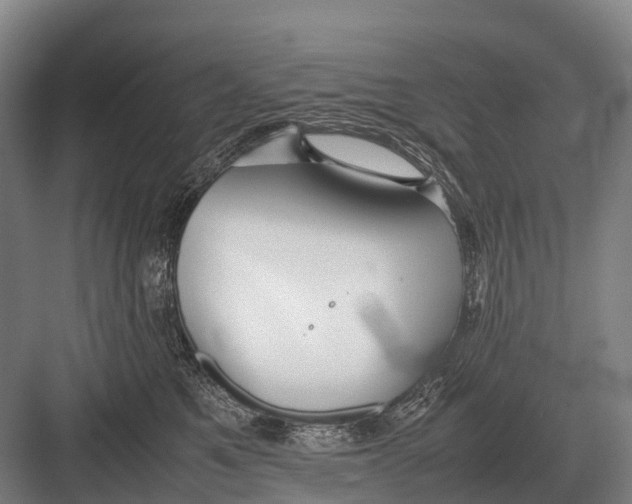 X0000082740521200702161936