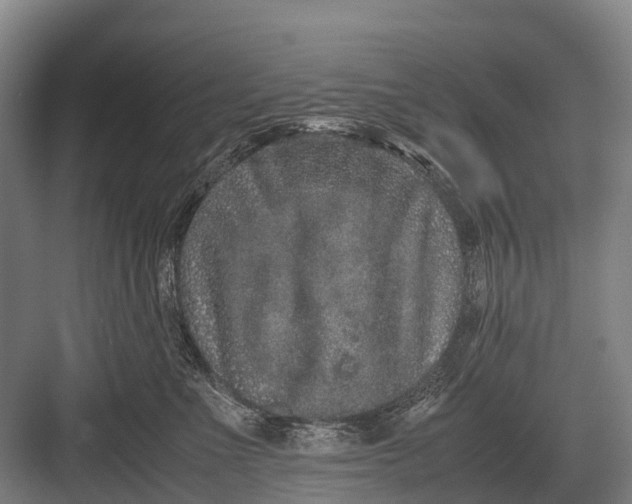 X0000082740523200702161936