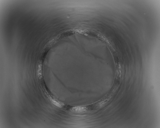 X0000082740526200702161936