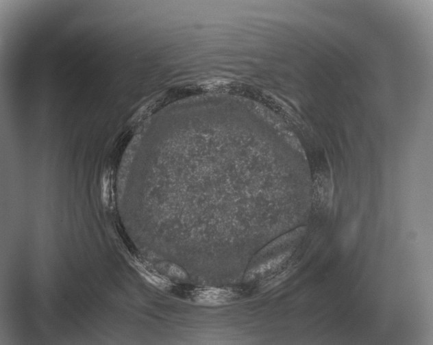 X0000082740527200702161936