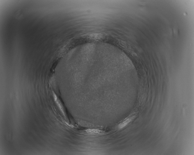 X0000082740528200702161936