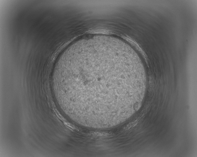 X0000082740529200702161935