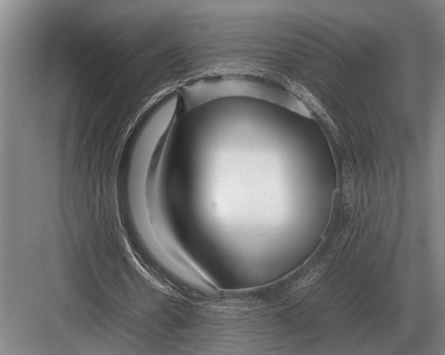 X0000082740530200702161935