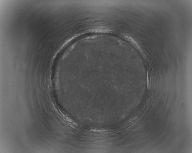 X0000082740531200702161935