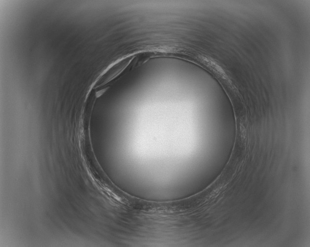 X0000082740532200702161935