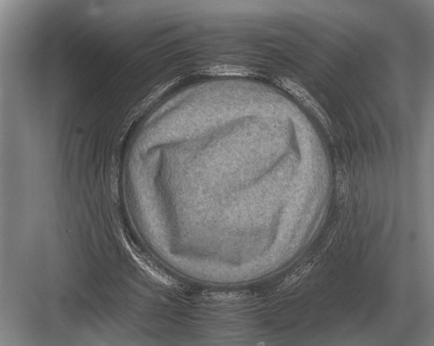 X0000082740533200702161935