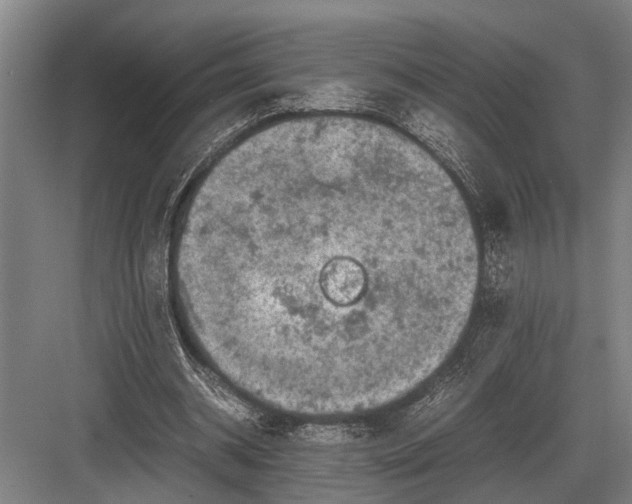 X0000082740534200702161935