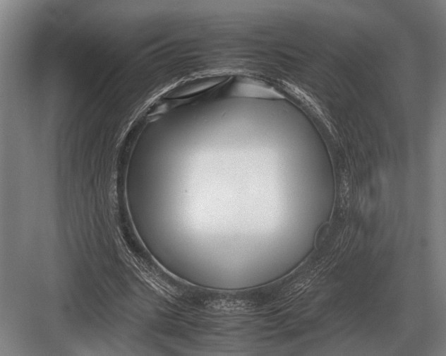 X0000082740535200702161935