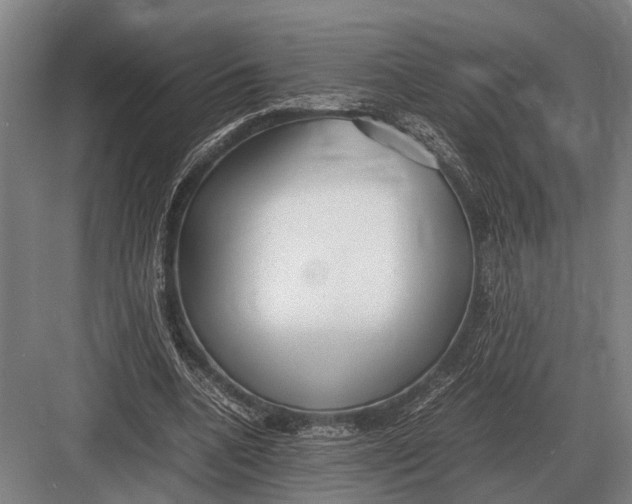 X0000082740536200702161935