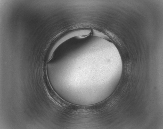 X0000082740538200702161935