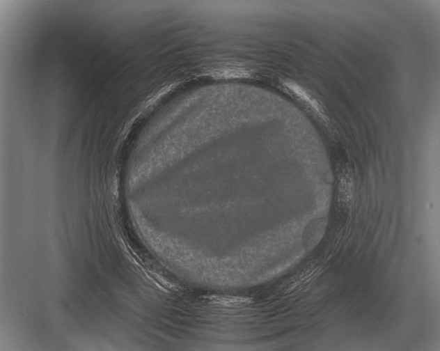 X0000082740539200702161935