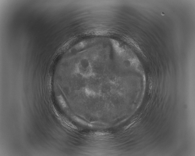 X0000082740542200702161935