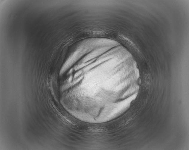 X0000082740545200702161936