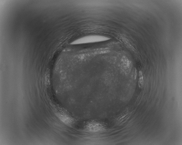 X0000082740547200702161936