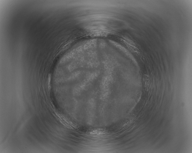 X0000082740550200702161936