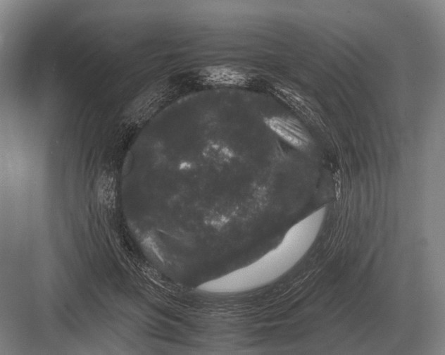 X0000082740551200702161936