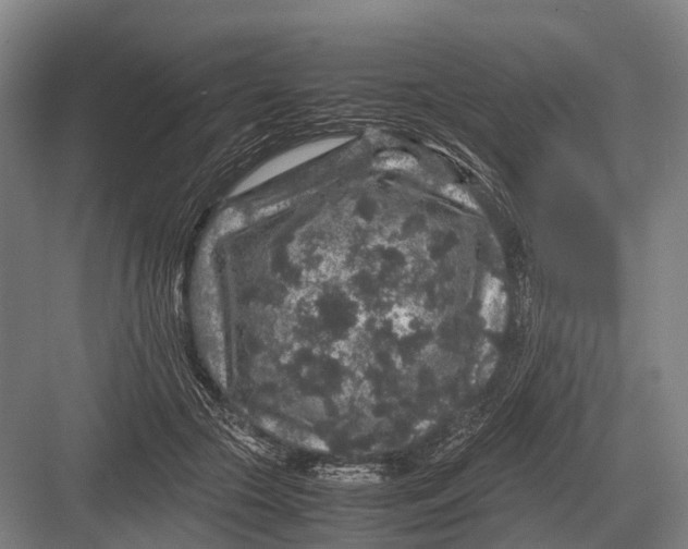 X0000082740553200702161936