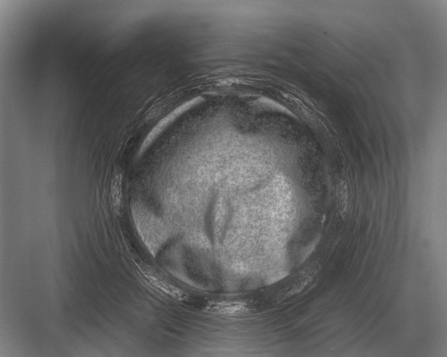 X0000082740554200702161936