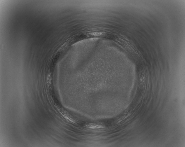 X0000082740555200702161936